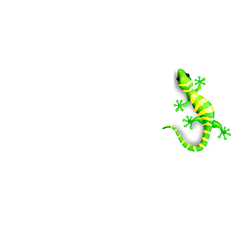 Gecko Tans